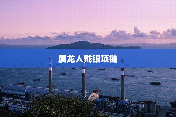 属龙人戴银项链