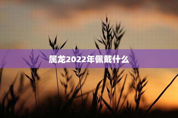 属龙2022年佩戴什么