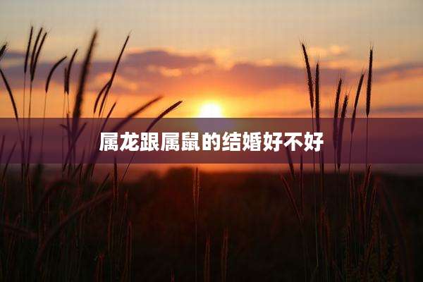 属龙跟属鼠的结婚好不好