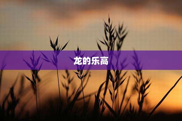 龙的乐高