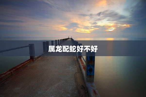 属龙配蛇好不好