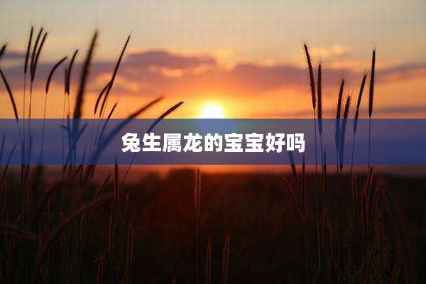 兔生属龙的宝宝好吗