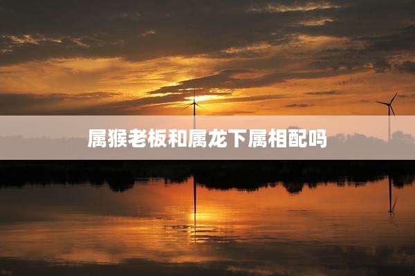 属猴老板和属龙下属相配吗