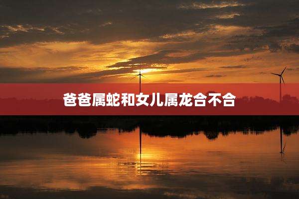 爸爸属蛇和女儿属龙合不合