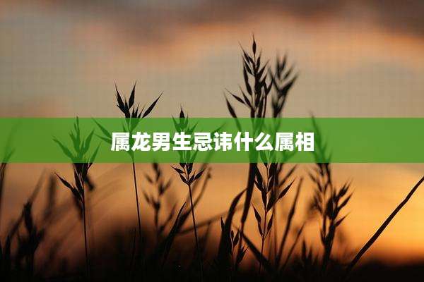 属龙男生忌讳什么属相