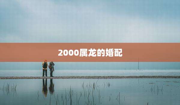2000属龙的婚配