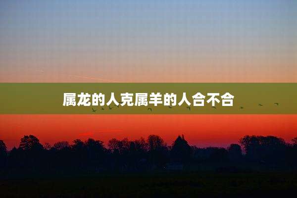 属龙的人克属羊的人合不合