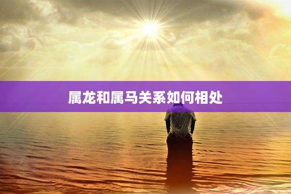 属龙和属马关系如何相处