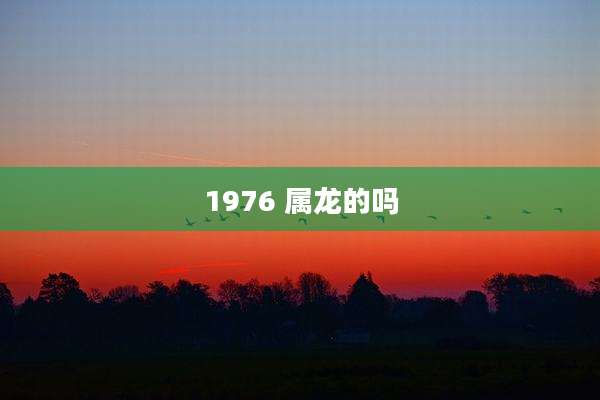 1976 属龙的吗