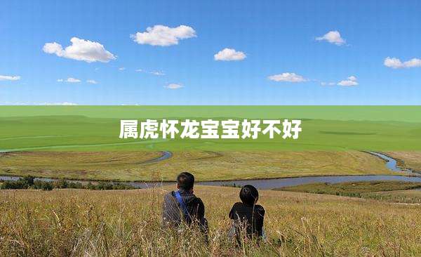 属虎怀龙宝宝好不好