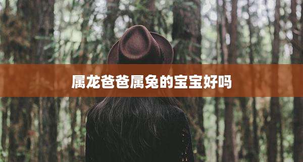 属龙爸爸属兔的宝宝好吗