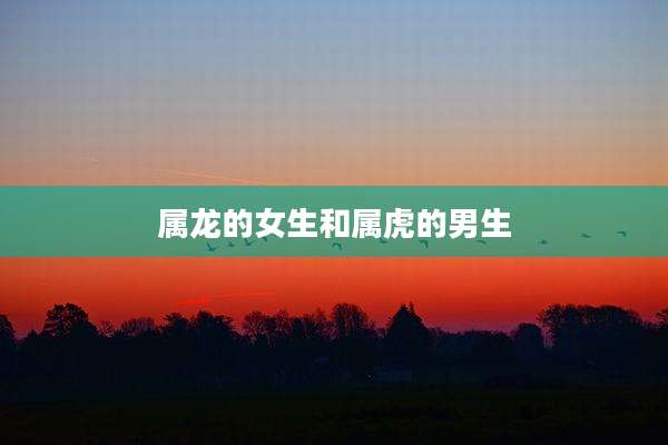 属龙的女生和属虎的男生