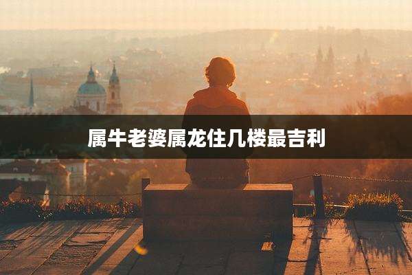 属牛老婆属龙住几楼最吉利