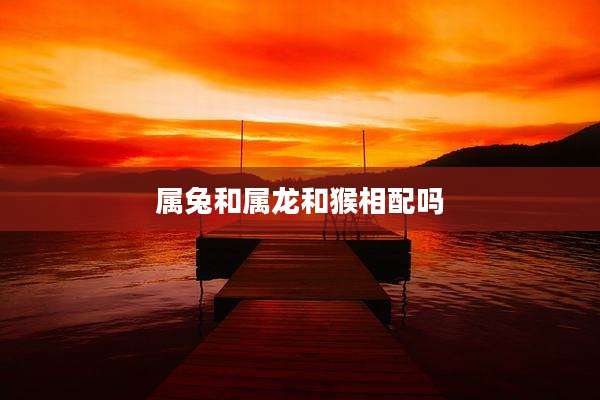 属兔和属龙和猴相配吗