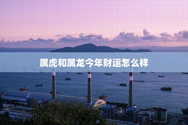 属虎和属龙今年财运怎么样