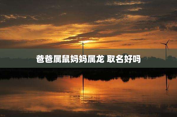 爸爸属鼠妈妈属龙 取名好吗