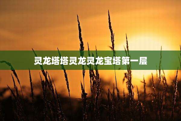 灵龙塔塔灵龙灵龙宝塔第一层