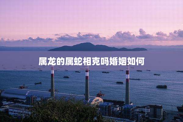 属龙的属蛇相克吗婚姻如何