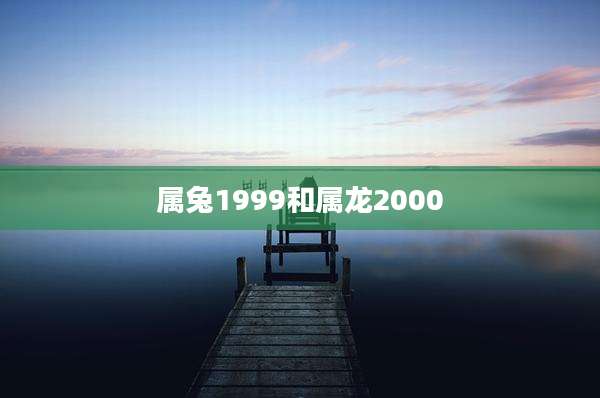 属兔1999和属龙2000