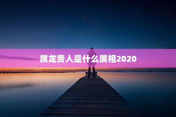 属龙贵人是什么属相2020