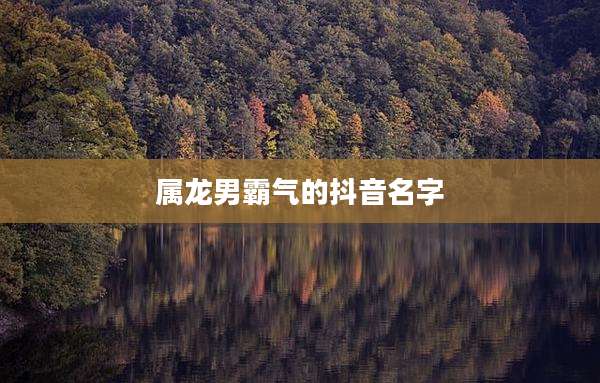 属龙男霸气的抖音名字