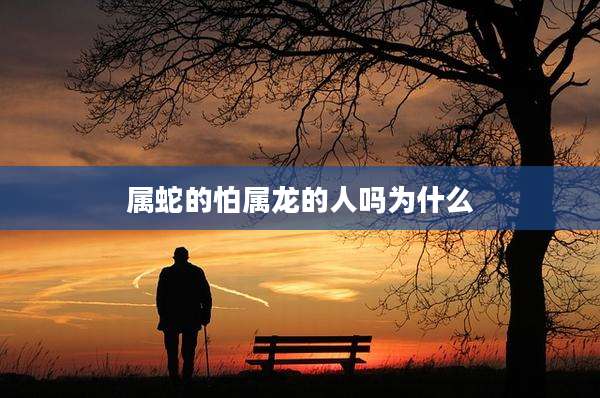 属蛇的怕属龙的人吗为什么