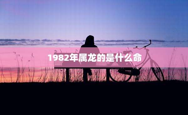 1982年属龙的是什么命