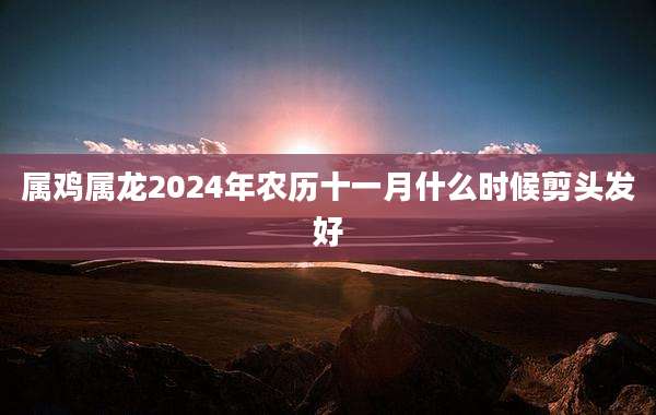属鸡属龙2024年农历十一月什么时候剪头发好