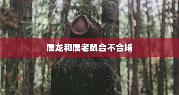 属龙和属老鼠合不合婚