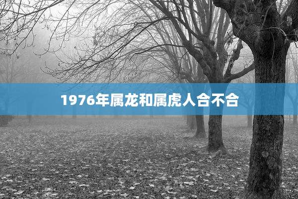 1976年属龙和属虎人合不合