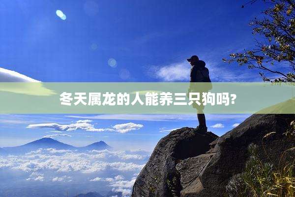 冬天属龙的人能养三只狗吗?