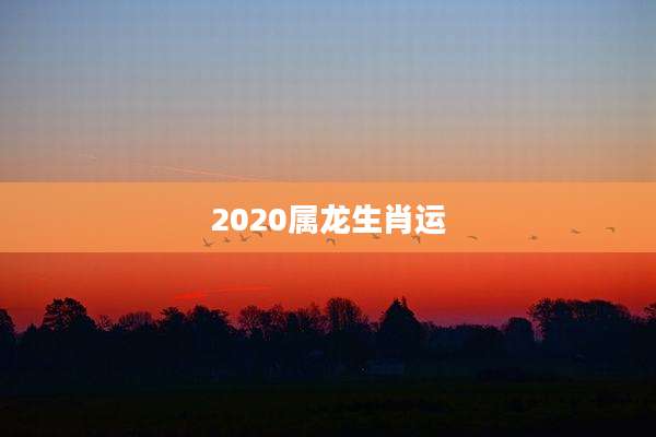 2020属龙生肖运