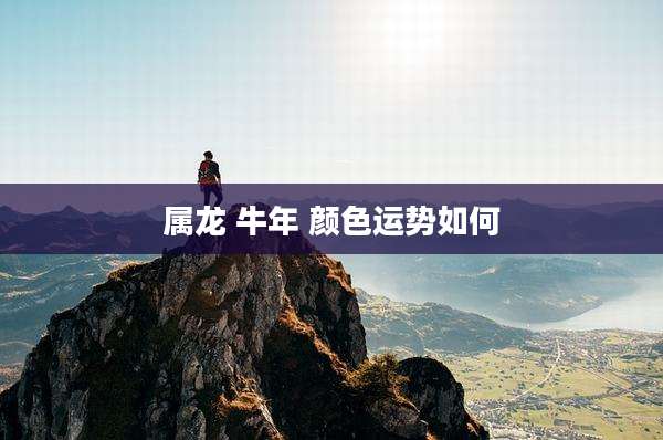 属龙 牛年 颜色运势如何