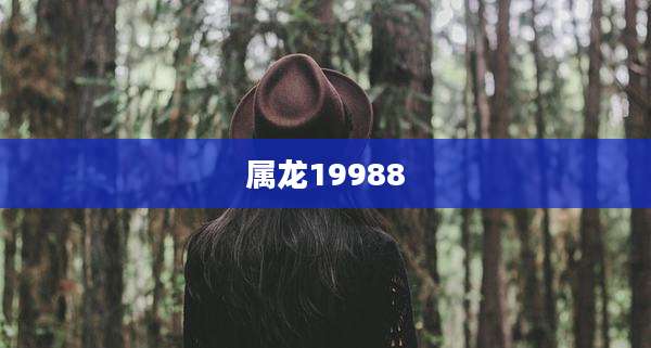 属龙19988