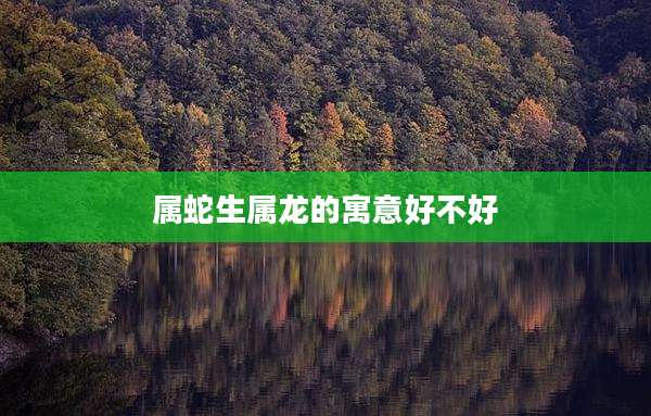 属蛇生属龙的寓意好不好