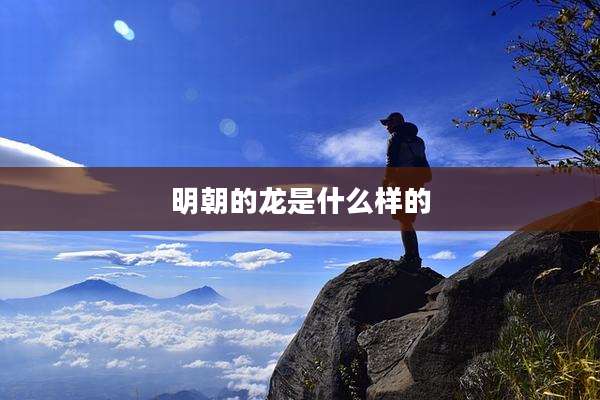 明朝的龙是什么样的