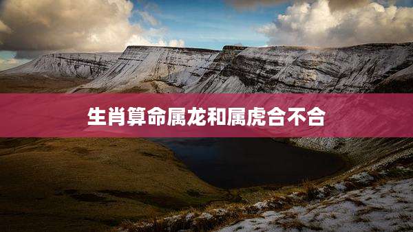 生肖算命属龙和属虎合不合