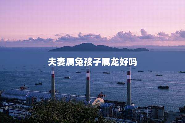 夫妻属兔孩子属龙好吗