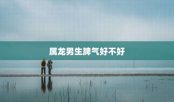 属龙男生脾气好不好