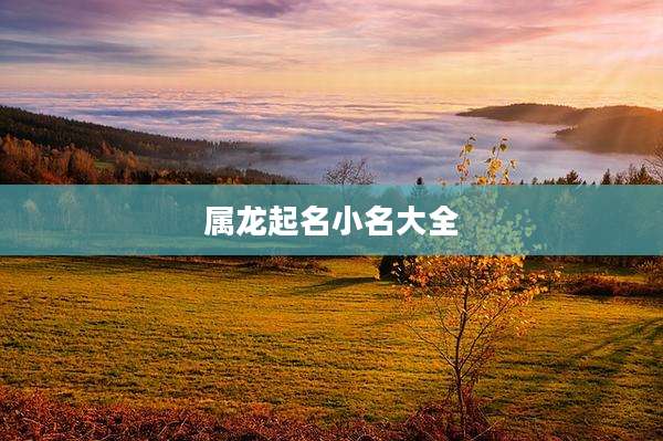 属龙起名小名大全