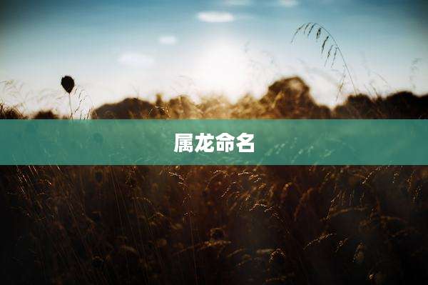 属龙命名
