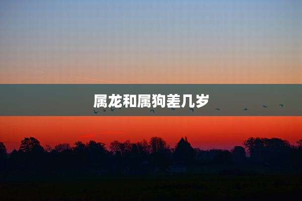 属龙和属狗差几岁