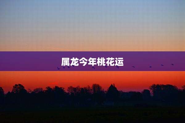 属龙今年桃花运