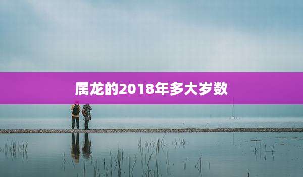 属龙的2018年多大岁数