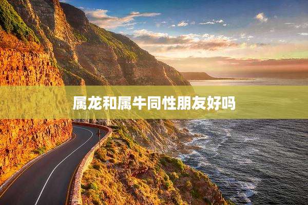 属龙和属牛同性朋友好吗