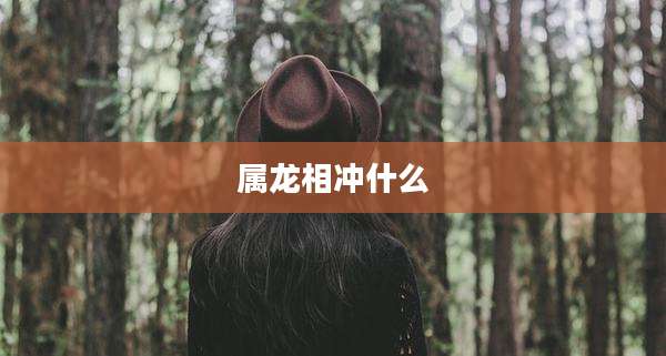 属龙相冲什么