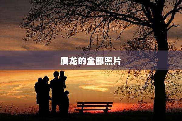 属龙的全部照片