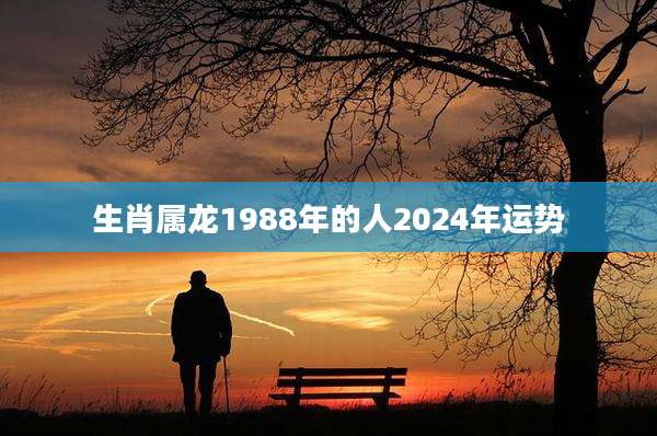 生肖属龙1988年的人2024年运势