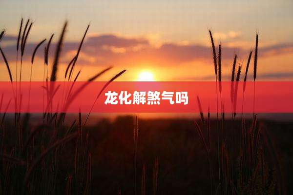 龙化解煞气吗