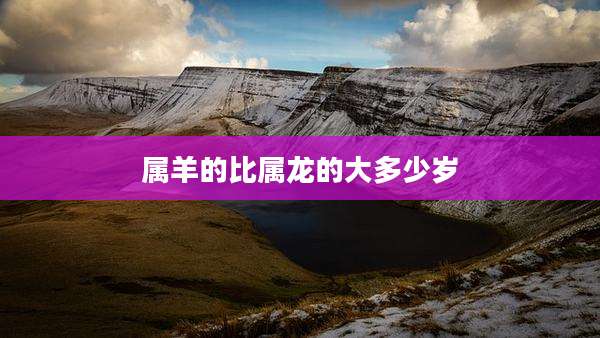 属羊的比属龙的大多少岁